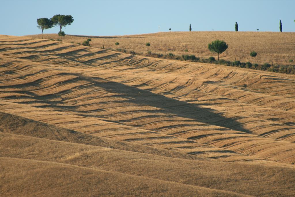Camere Andrei Pienza Zewnętrze zdjęcie