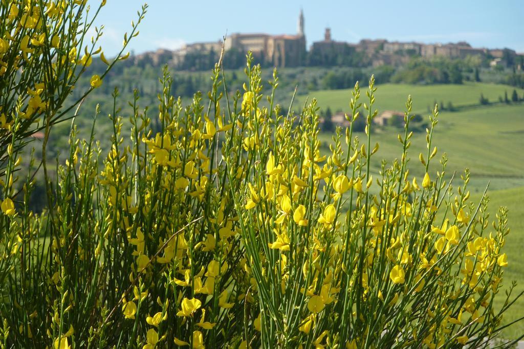 Camere Andrei Pienza Zewnętrze zdjęcie