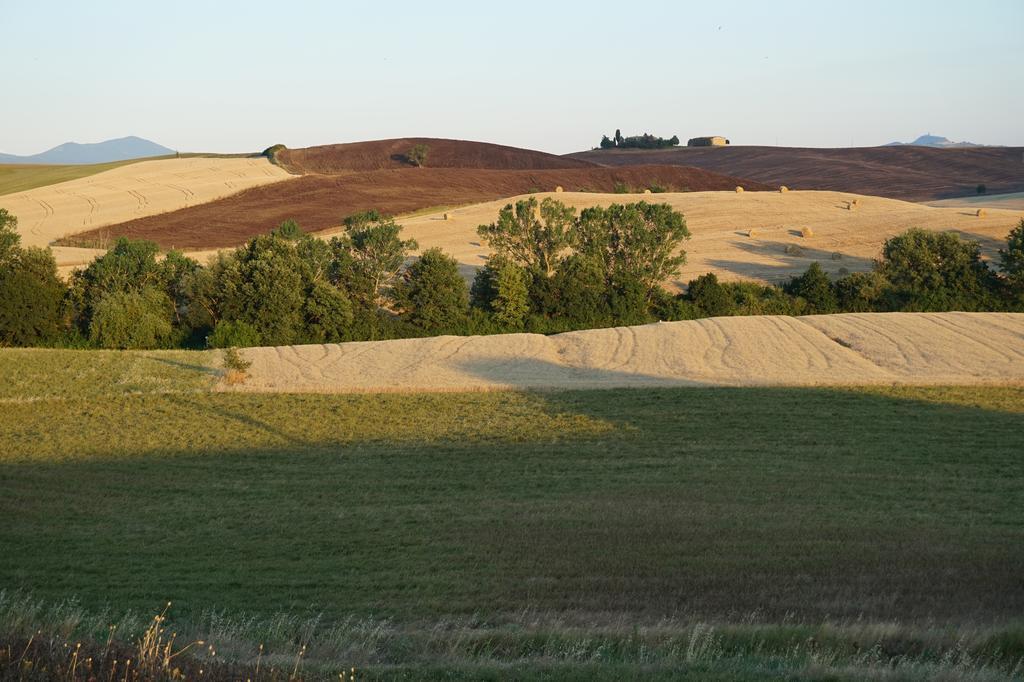 Camere Andrei Pienza Zewnętrze zdjęcie